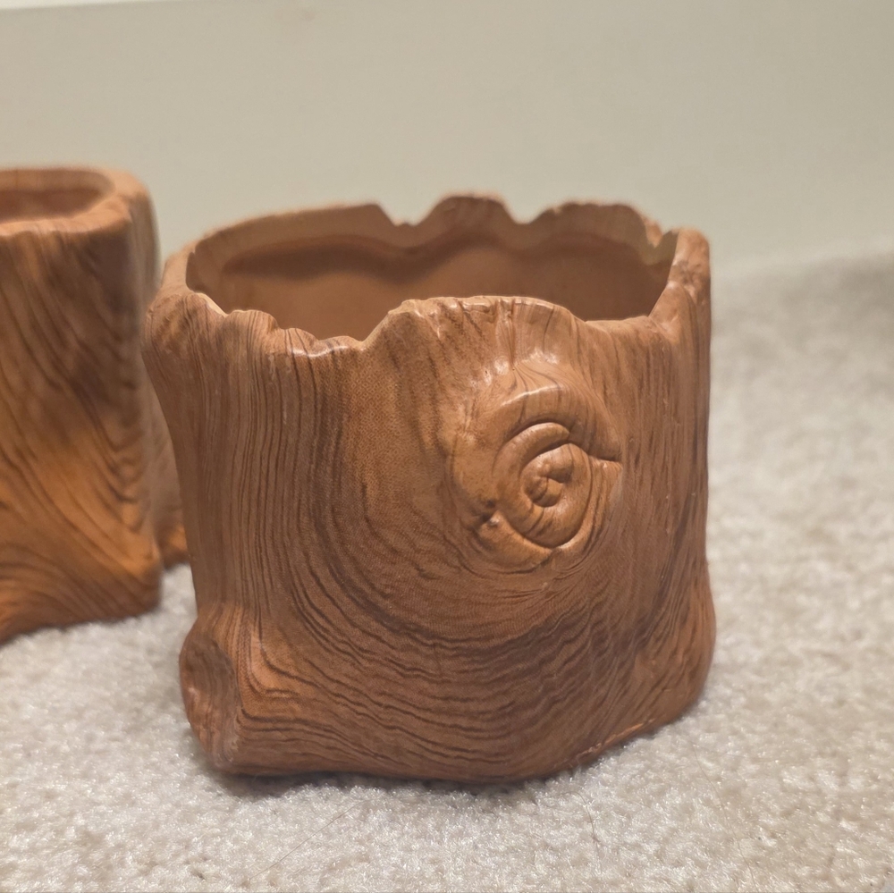 Rustic Tree Stump Planters - Picture 4 of 10